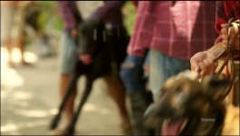 Almost Paradise - Season 02 Episode 03